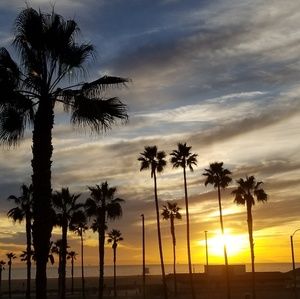 Meet your Posher, Belle